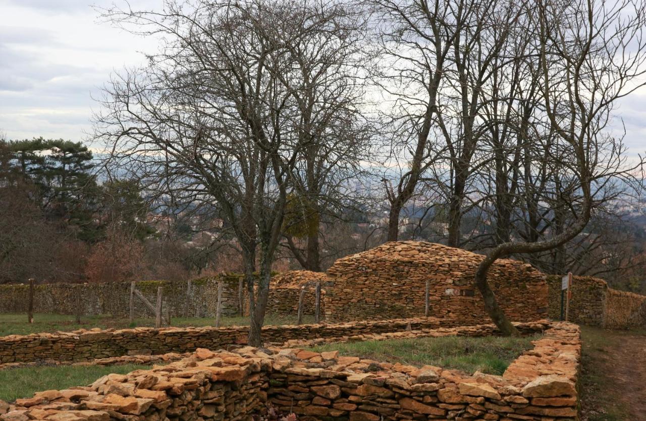 Saint-Didier-au-Mont-d'Or Maison Cube المظهر الخارجي الصورة